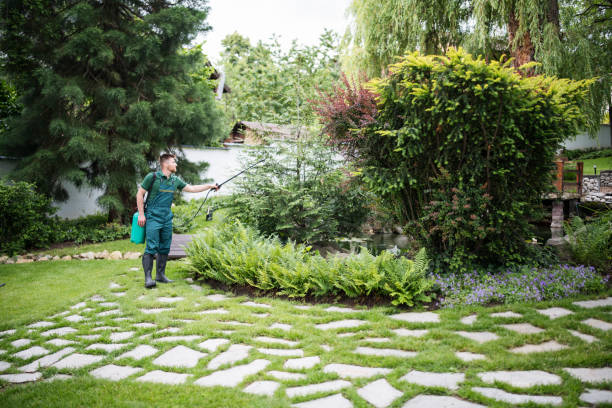 Best Pest Control Treatment  in Tignall, GA