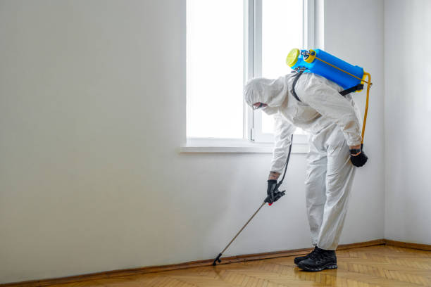 Best Wasp Removal Services  in Tignall, GA