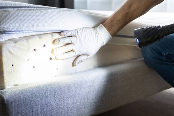 Best Mosquito Control Services  in Tignall, GA