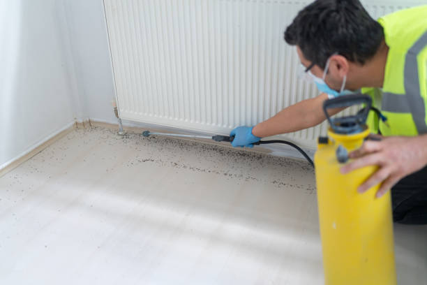 Reliable Tignall, GA Pest Control Solutions
