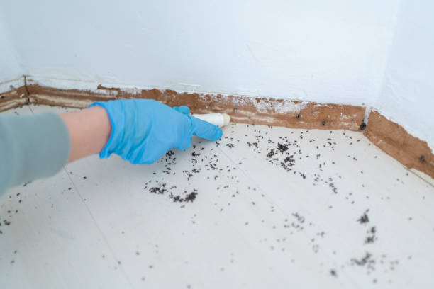 Pest Control Cost in Tignall, GA