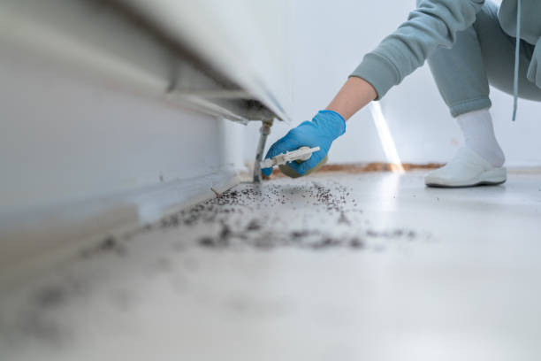 Wasp Removal Services in Tignall, GA