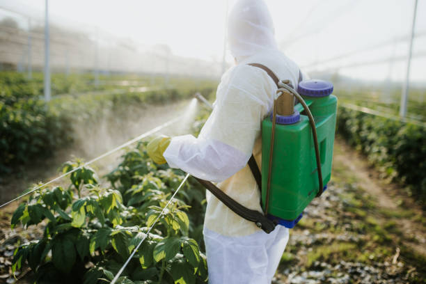 Best Best Pest Control Companies  in Tignall, GA